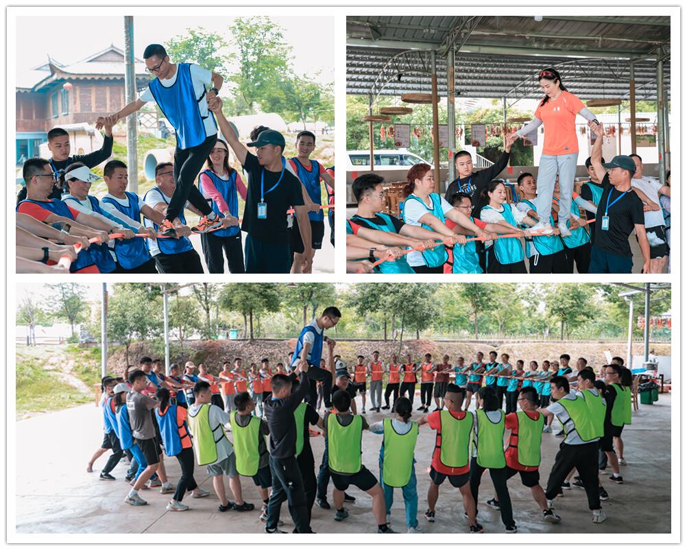 團隊動力圈 團隊動力圈