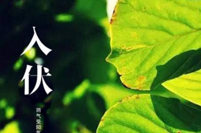 入伏在即，酷暑將至