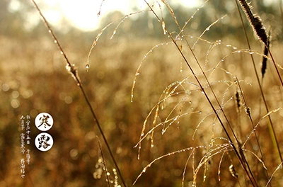 寒露已至，注意添衣防寒