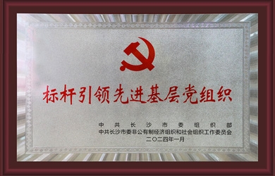 銀河電氣黨支部獲評(píng)“標(biāo)桿引領(lǐng)先進(jìn)基層黨組織”