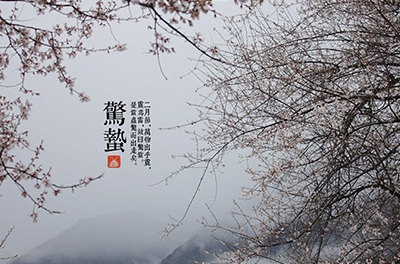 春雷起，驚蟄出